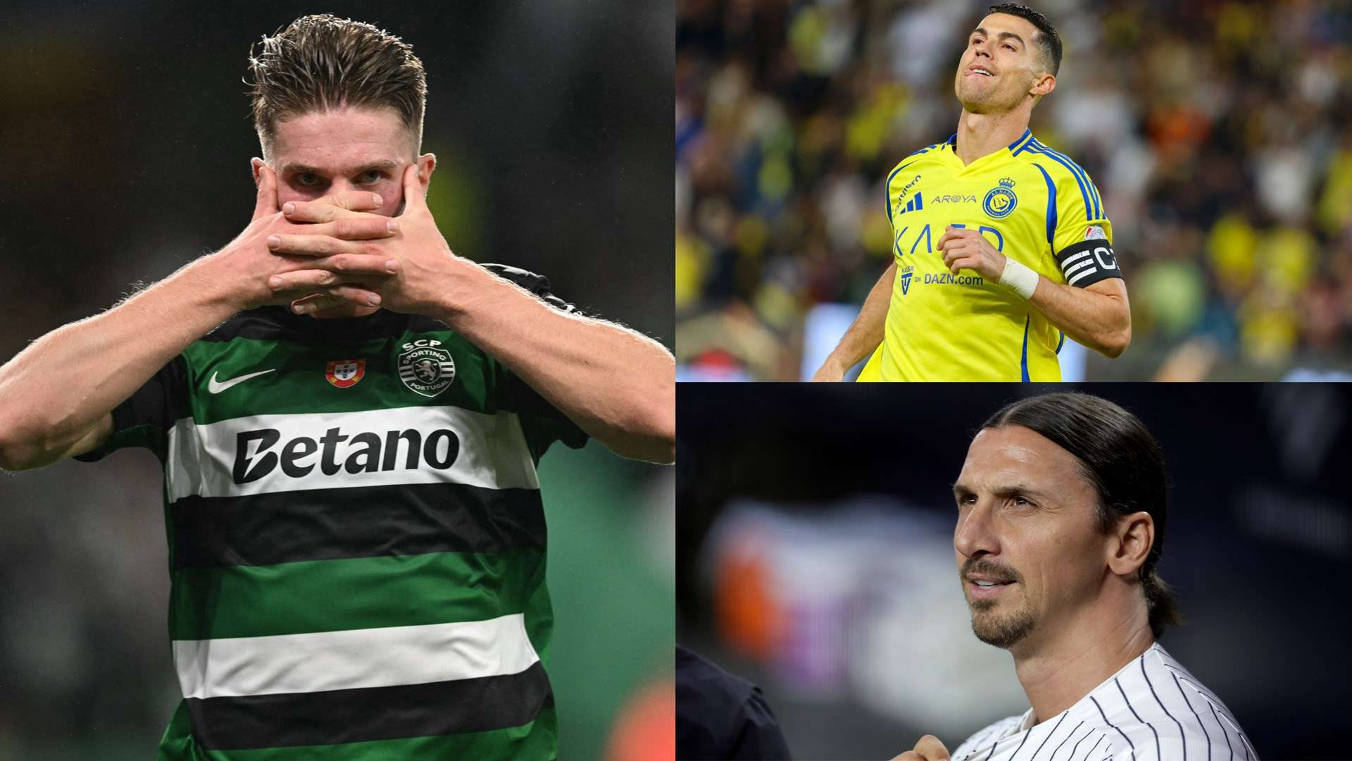 他不仅展示 他不仅展示